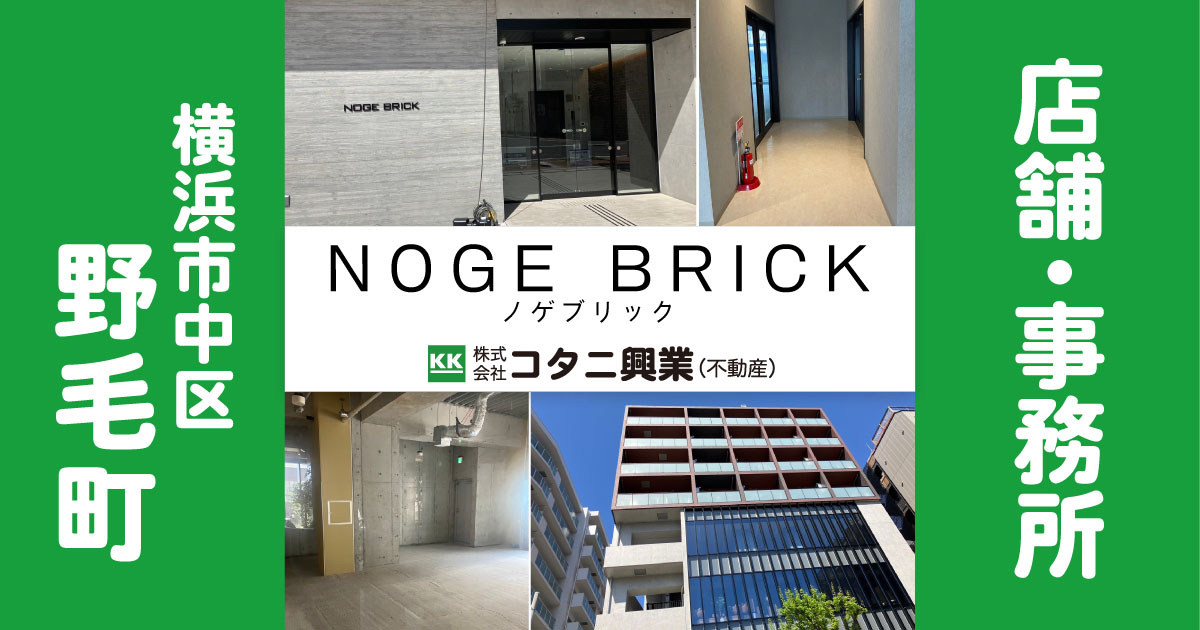 ノゲブリックアイキャッチ